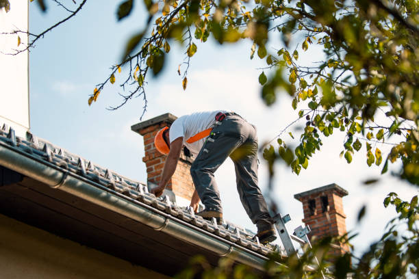 Best Roof Maintenance Services  in Hoisington, KS