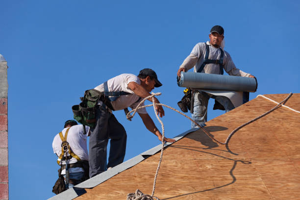 Best Roof Leak Repair  in Hoisington, KS