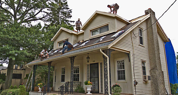 Best Roof Gutter Cleaning  in Hoisington, KS